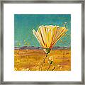 California Desert Closeup Framed Print