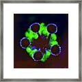 Can You Guess What This Is? Framed Print