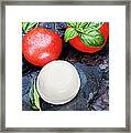 Caprese Framed Print