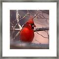 Cardinal - Unafraid Framed Print