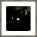 #cat #blackcat #eyes Framed Print