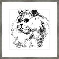 Cat Drawings 4 Framed Print