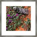Cat On A Wall Framed Print