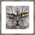 Cat Portrait Framed Print