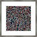 Cells. Abstract #1 Framed Print