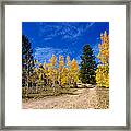Central City Fall Road Framed Print