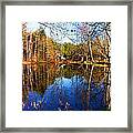 Chapin Lane Pond Framed Print