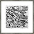 Charcoal Drawing Of Gnarled Pine Tree Roots In Swampy Area Framed Print