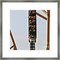 Cheetah Hunt Coaster Framed Print