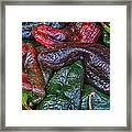 Chile Ancho Framed Print