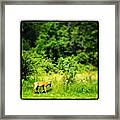 Chillin' In Wonderland~ Framed Print