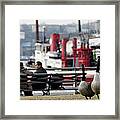 City Geese Framed Print