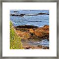 Cliff Flowers Framed Print