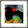 Color In Motion Framed Print