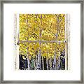 Colorado Gold Rustic Window View Framed Print