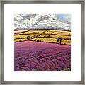 Colorado Lavender Country Framed Print