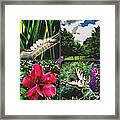 Colorful Nature Framed Print