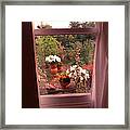 Come To My Window Framed Print