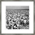 Coney Island 1941 Framed Print