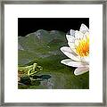 Contemplating A Lily Framed Print