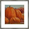 Country Pumpkins Framed Print