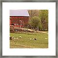 Country Scapes In Ct Usa Framed Print