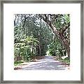 Covered By Nature Framed Print