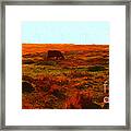 Cow Grazing In The Hills Framed Print