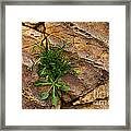 Crack  In The Wall Framed Print