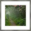 Craggy Path 2 Framed Print