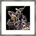 Cribet Exotic Orchids Framed Print