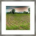 Criss-cross Framed Print