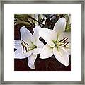 Crying Lily Framed Print