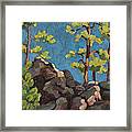 Custer Morn Framed Print