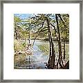 Cypress Serenity Framed Print