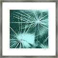 Dandelion Art 3 Framed Print