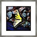 Dead Butterfly On The Train Tracks By Framed Print