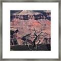 Dead Tree At The Canyon Framed Print