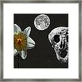 Death And The Daffodil Framed Print