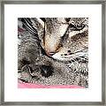 Deep In Thought Framed Print