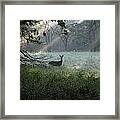 Deer In The Mist Framed Print