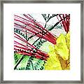 Desert Bird Of Paradise Framed Print