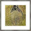 Designs By Nature - Fp9 - Trees - Lady Of The Park Framed Print