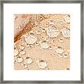 Detailed Leaf Inspection Framed Print