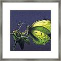 Dina Yellow Framed Print