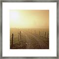 Dirt Road, Fence And Sun Shining Framed Print