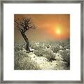 Discussions With The Sun Framed Print