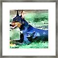 Dobie 2 Framed Print