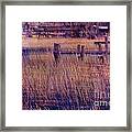 Dock On The Bay Framed Print