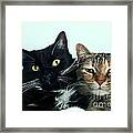 Double Trouble 1 Framed Print